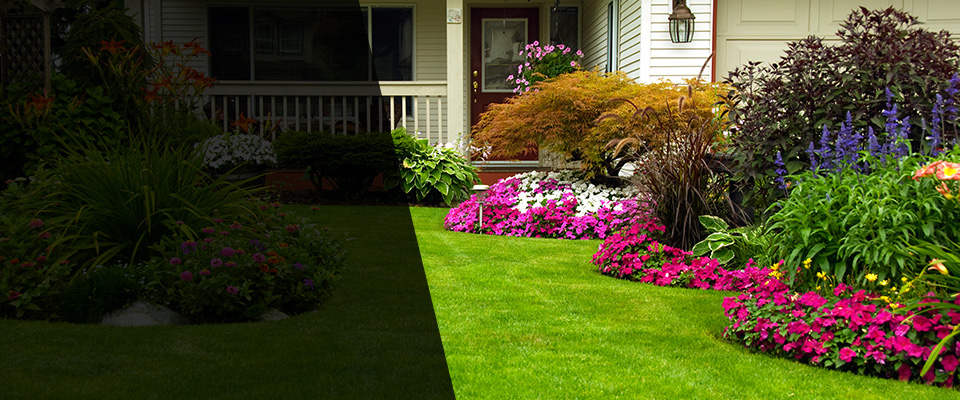 Trenton Landscapers